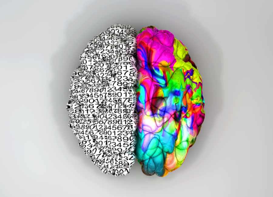 Terapia TIC terapia de integración de los hemisferios cerebrales online en línea